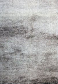 Covor Eternity Gri 200x290 cm - Eleganta si Confort pentru Interior - 1