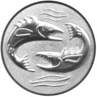 Emblema 3D Peste pentru Medalii, 25mm - 1
