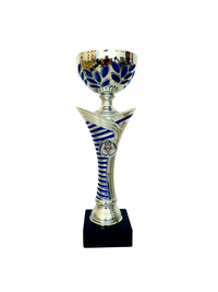 Cupa MS166 - King 64 pentru diverse inaltimi - 1