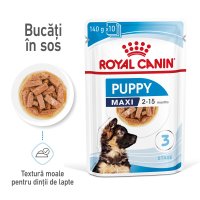 Royal Canin Maxi Puppy hrana umeda caine junior (in sos), 140 g - 1