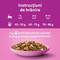 WHISKAS Junior Pui - Hrană Uscată pentru Pisici Tineri, 300g - 10