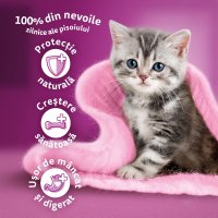 WHISKAS Junior Pui - Hrană Uscată pentru Pisici Tineri, 300g - 4