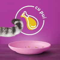 WHISKAS Junior Pui - Hrană Uscată pentru Pisici Tineri, 300g - 8