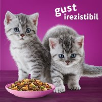 WHISKAS Junior Pui - Hrană Uscată pentru Pisici Tineri, 300g - 5