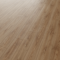 Parchet laminat Gloria Eden  12 mm  clasa 33  AC5 - 4