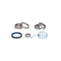 Set rulment roata AUDI A4 8D2 B5 BTA H2A001BTA - 1