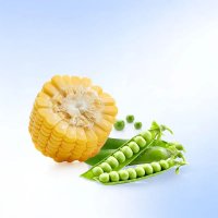 Set 4 cutii de nisip PETKIT pentru monitorizarea urinei pisicilor, 2.4 kg/cutie, absorbtie rapida - 4