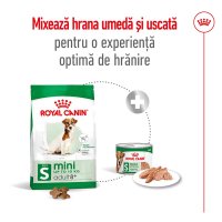 ROYAL CANIN Mini Adult 8+, hrană uscată câini, 2kg - 10
