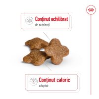 ROYAL CANIN Mini Adult 8+, hrană uscată câini, 2kg - 4