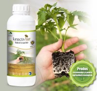 Kinactiv Root 400 ml - Biostimulator pentru radacini cu aminoacizi si microelemente, Summit Agro, certificat Bio - 1
