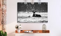 Tablou Canvas Lying Deer 120x80 cm de la Bimago - 2