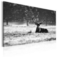 Tablou Canvas Lying Deer 120x80 cm de la Bimago - 1