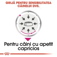 ROYAL CANIN Exigent Adult, hrana umeda pentru caini cu apetit capricios, pate, 85 g - 5