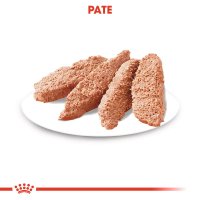 ROYAL CANIN Exigent Adult, hrana umeda pentru caini cu apetit capricios, pate, 85 g - 6