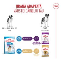 ROYAL CANIN Giant Junior, hrană uscată câini junior, etapa 2 de creștere, 15kg - 10