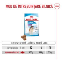 ROYAL CANIN Giant Junior, hrană uscată câini junior, etapa 2 de creștere, 15kg - 8