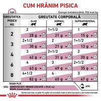 ROYAL CANIN VD Renal Pește - Dietă Veterinară pentru Pisici, Hrană Umedă în Sos, 85g x 12buc - 6