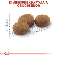 ROYAL CANIN Sterilised Adult, hrană uscată pisici sterilizate, 4kg - 5