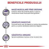 ROYAL CANIN VD Neutered Maintenance, hrană umedă pentru pisici, gestionarea greutății, 12 plicuri a câte 85g - 4