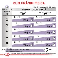 ROYAL CANIN VD Neutered Maintenance, hrană umedă pentru pisici, gestionarea greutății, 12 plicuri a câte 85g - 6