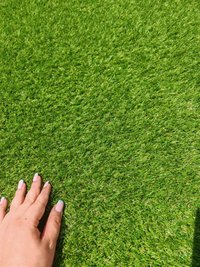 Gazon Artificial Jakarta, Verde, 300x300 cm - Delta - 2