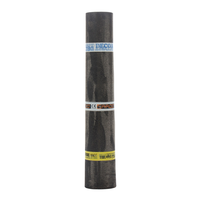 Carton Bituminat 10 MP cu Folie PVC pentru Hidroizolare - 1