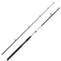 Lanseta Dam Aqua-X Allround MF, 2.10m, 100-170g, 2 tronsoane - 1