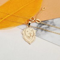 Lantisor personalizat Labrador Retriever - Aur Galben 9K - 1