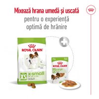 ROYAL CANIN X-Small Adult, hrană uscată câini, 500g - 9