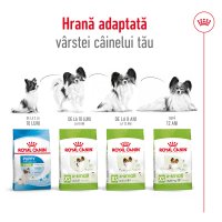 ROYAL CANIN X-Small Adult, hrană uscată câini, 500g - 10