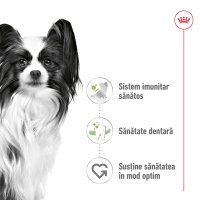 ROYAL CANIN X-Small Adult, hrană uscată câini, 500g - 3