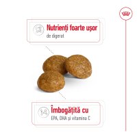 ROYAL CANIN X-Small Adult, hrană uscată câini, 500g - 4