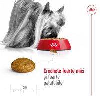ROYAL CANIN X-Small Adult, hrană uscată câini, 500g - 5
