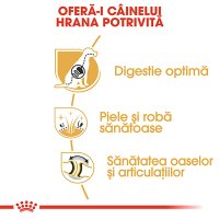 ROYAL CANIN German Shepherd Adult, hrană uscată câini, 3kg - 5