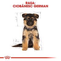 ROYAL CANIN German Shepherd Puppy, hrană uscată câini junior, 12kg - 4