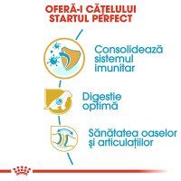 ROYAL CANIN German Shepherd Puppy, hrană uscată câini junior, 12kg - 5