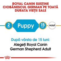 ROYAL CANIN German Shepherd Puppy, hrană uscată câini junior, 12kg - 9