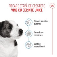 ROYAL CANIN Mini Puppy, hrană uscată câini junior, 2kg - 4