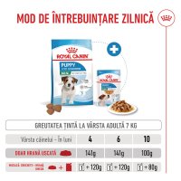 ROYAL CANIN Mini Puppy, hrană uscată câini junior, 2kg - 8