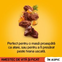 PEDIGREE Vită în Aspic pentru Câini, Hrană Umedă XS-XL, 100g - 3