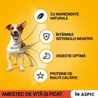 PEDIGREE Vită în Aspic pentru Câini, Hrană Umedă XS-XL, 100g - 7