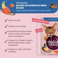 DELICKCIOUS Hrană Umedă pentru Pisici cu Somon și Midii, 85g - 4