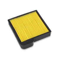 Filtru Aer Kawasaki FE250D & FE290D, 8 - 9.5 CP - 1