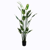 Planta decorativa cu ghiveci Lucky Verde 80x80x210 cm - 1