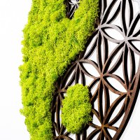 Accesoriu decorativ de perete Yin Yang Verde 44x1x44 cm - 3