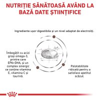 ROYAL CANIN VD Gastrointestinal, M-XL, dietă veterinară, hrană uscată câini, sistem digestiv, 15kg - 7