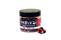 Pop Up The One - Momeala pentru Pescuit 10-12mm, 60g (Aroma: N-Butyric si Mango) - 3