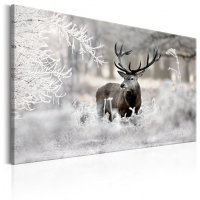 Tablou - Lonely Deer 120x80 cm - 1