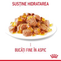 ROYAL CANIN Hair&Skin Care Adult hrană umedă pisici piele & blană (în aspic), 85g - 4