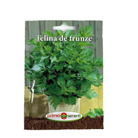 Seminte de telina de frunze 1,5 gr, Prima Sementi - Verde proaspat - 1